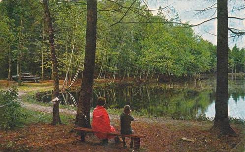 06941 - Emmen - Zandmeer Emmerdennen, Verzamelen, Ansichtkaarten | Nederland, Ongelopen, Drenthe, 1960 tot 1980, Verzenden