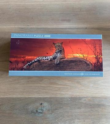 Heye Panorama Puzzel 2000 stukjes - Luipaard beschikbaar voor biedingen