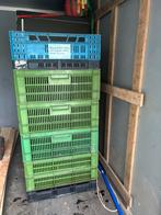Kratten - Kratjes, Doe-het-zelf en Verbouw, Kratten en Dozen, 40 tot 60 cm, 50 tot 75 cm, Minder dan 35 cm, Ophalen of Verzenden