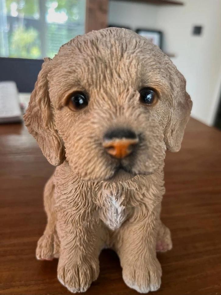 Prachtig levensecht Maltipoo pup beeldje van Polystyreen, Verzamelen, Beelden en Beeldjes, Nieuw, Dier, Ophalen of Verzenden