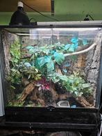 Exo Terra Terrarium 90 x 45 x90 gebruikt vaste prijs 225 eur, Ophalen, Zo goed als nieuw, Terrarium of Paludarium