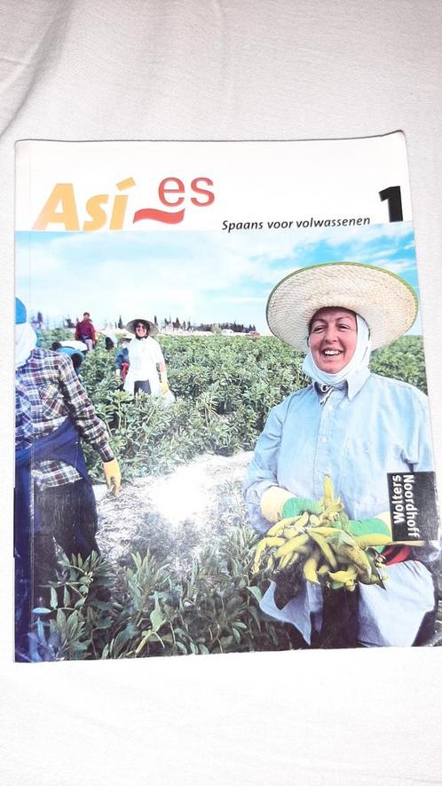Así es SPAANS leren VOOR VOLWASSENEN 1, Boeken, Schoolboeken, Gelezen, Overige niveaus, Ophalen of Verzenden