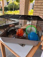 Hamsterkooi met toebehoren, Minder dan 60 cm, Kooi, Gebruikt, Minder dan 75 cm
