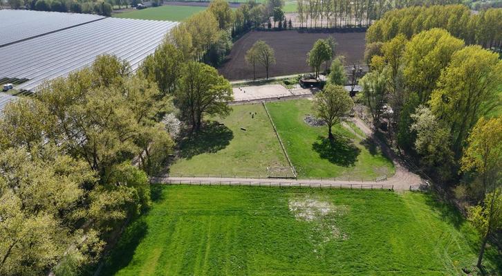 Fijn pension / pensioen plekje aangeboden || Stalling, Dieren en Toebehoren, Stalling en Weidegang, Stalling, Weidegang, 1 paard of pony