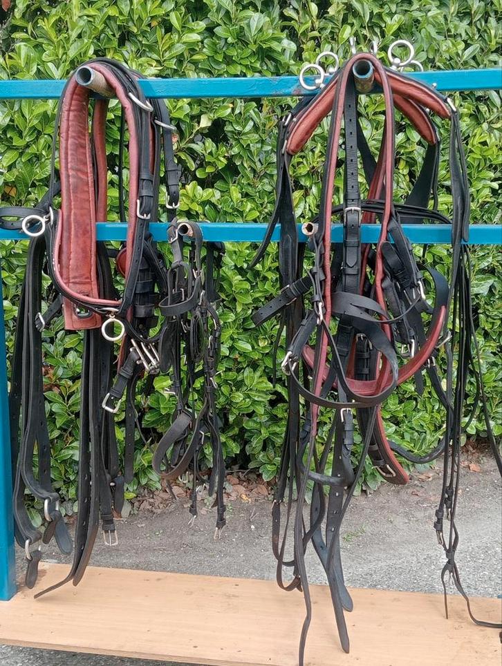 Paardentuig, Dieren en Toebehoren, Paarden en Pony's | Hoofdstellen en Tuigage, Gebruikt, Overige soorten, Ophalen