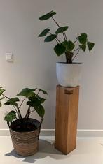Eiken pilaar houten zuil plantentafel, Ophalen, Zo goed als nieuw