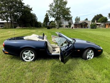 Jaguar XK8 4.0 Convertible - Blauw beschikbaar voor biedingen