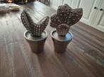 Riviera Maison Cactussen - Set van 2, Huis en Inrichting, Woonaccessoires | Overige, Ophalen of Verzenden, Zo goed als nieuw