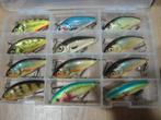 Salmo Fatso 10f, Ophalen of Verzenden, Nieuw, Overige typen