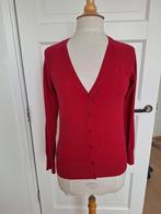 vest America Today mt 38, Maat 38/40 (M), Ophalen of Verzenden, Zo goed als nieuw, America Today