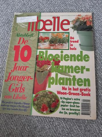 Libelle. Willeke van Ammelrooy. Marjolein Bastin. Vera de Mu beschikbaar voor biedingen