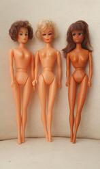 Drie vintage Barbie clone / Bild Lilli poppen, Ophalen of Verzenden, Gebruikt, Fashion Doll