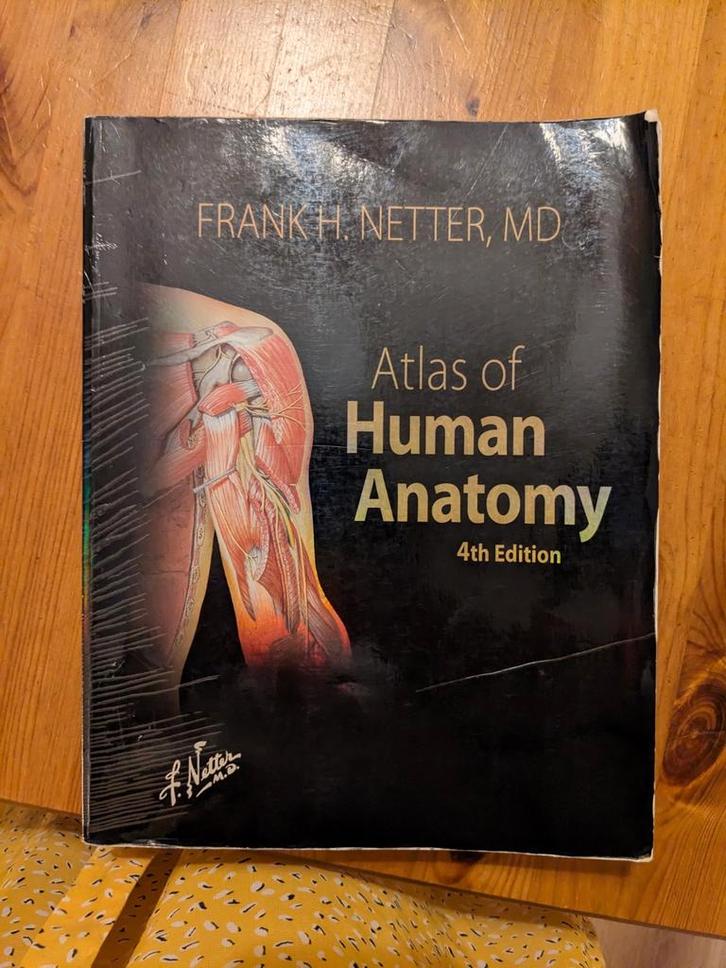 Atlas of Human Anatomy - Frank H. Netter, MD - Vierde editie, Boeken, Studieboeken en Cursussen, Gelezen, HBO, Beta, Ophalen of Verzenden