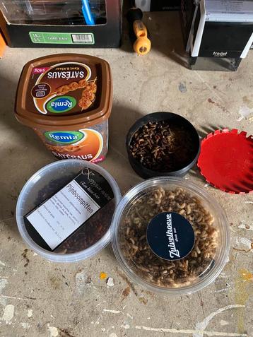 KOMEND WEEKEND Gratis bakje voermaden/casters beschikbaar voor biedingen