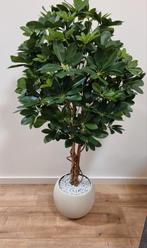Kunstplant Schefflera 120 cm, Ophalen of Verzenden, Zo goed als nieuw, Binnen