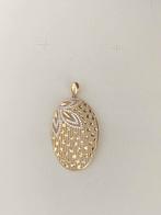 14 karaat (585) gouden hanger, -, -, Nieuw, Ophalen of Verzenden