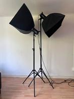 2-piece Professional GODOX Lighting Kit for Sale, Ophalen of Verzenden, Zo goed als nieuw, Lamp of Flitsset