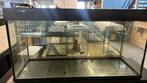 Vissenasiel aquarium 120x45x65 incl verlichting, Dieren en Toebehoren, Vissen | Aquaria en Toebehoren, Ophalen, Leeg aquarium