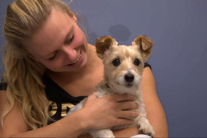 Oppas aangeboden in Doetinchem!, Diensten en Vakmensen, Dieren | Honden | Verzorging, Oppas en Les, Particuliere oppas