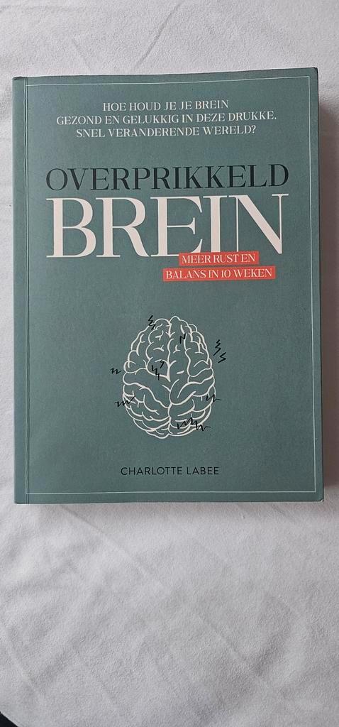 Overprikkeld Brein - Charlotte Labee, Boeken, Psychologie, Zo goed als nieuw, Cognitieve psychologie, Ophalen of Verzenden