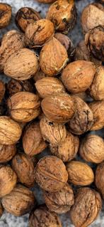 Verse walnoten (2025), Ophalen of Verzenden