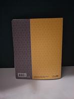 Pokemon boekje pikachu, Ophalen of Verzenden, Zo goed als nieuw, Boek of Catalogus, Foil