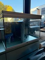 Aquarium 150 liter, Ophalen, Zo goed als nieuw, Leeg aquarium