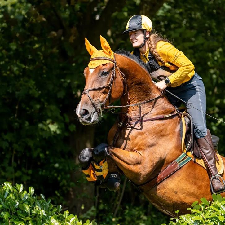 Grote stoere ruin, Dieren en Toebehoren, Paarden, Ruin, L, 170 tot 175 cm, 11 jaar of ouder, Recreatiepaard, Gechipt, Ontwormd