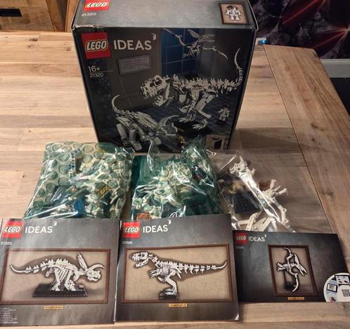 Lego Dino Dinosaurus 21320 Pteranodon Triceratops T-Rex, Kinderen en Baby's, Speelgoed | Duplo en Lego, Gebruikt, Lego, Complete set