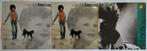 3 LP's Robert Long, Ophalen of Verzenden, Gebruikt, 12 inch, Pop