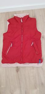 Body warmer, Ophalen of Verzenden, Nieuw