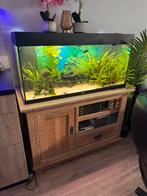 Juwel aquarium 200 liter incl. toebehoren & kast., Dieren en Toebehoren, Vissen | Aquaria en Toebehoren, Ophalen of Verzenden