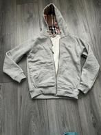 Burberry vest maat S, Kleding | Heren, Ophalen of Verzenden, Nieuw, Grijs, Burberry