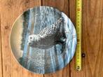 Porseleinen Bord "The Snowy Owl" Gelimiteerd, Antiek en Kunst, Ophalen of Verzenden