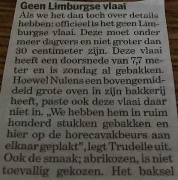 Vlaaidoos taartdoos doos vlaai taart, bord vlaaibord beschikbaar voor biedingen