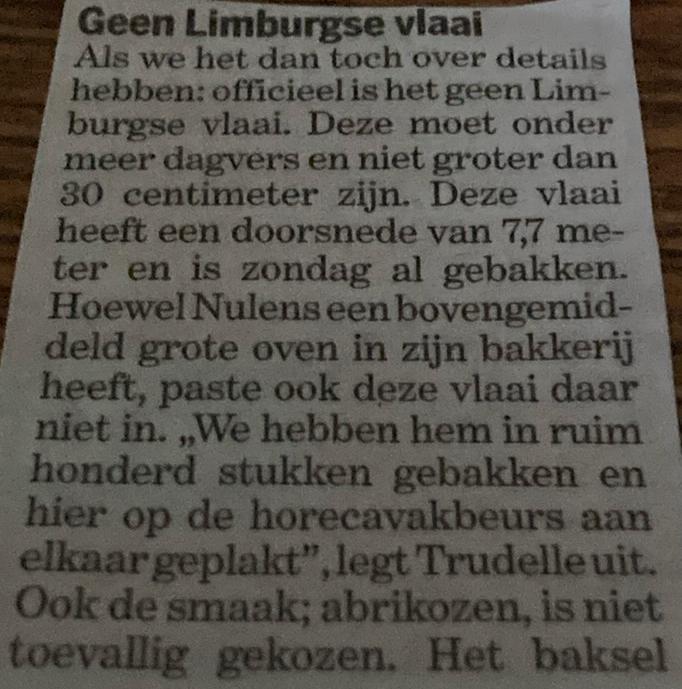 Vlaaidoos taartdoos doos vlaai taart, bord vlaaibord, Huis en Inrichting, Keuken | Keukenbenodigdheden, Zo goed als nieuw, Ophalen of Verzenden