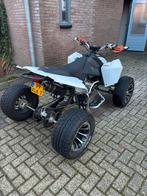 Egl MadMax 250cc Quad, 1 cilinder, 250 cc, 12 t/m 35 kW