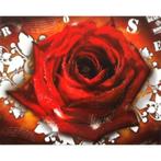 Rose – lyrics grote kaart bij Stichting Superwens!, Ophalen of Verzenden, Nieuw