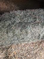 stro en hooi, Dieren en Toebehoren, Dierenvoeding, Ophalen, Vee