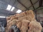 1e snede kleine hooibalen, Dieren en Toebehoren, Ophalen of Verzenden, Vee