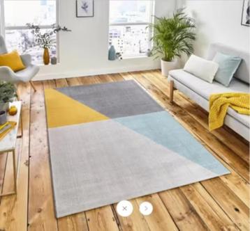 NIEUW! Vloerkleed Think Rugs Vancouver 200x290cm €40,99 beschikbaar voor biedingen