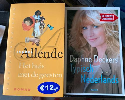 Isabel Allende - Het oneindige plan, roman, Boeken, Literatuur, Zo goed als nieuw, Amerika, Ophalen of Verzenden