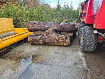 4 m3 iep stamhout te koop  beschikbaar voor biedingen