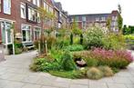 Gezocht spulletjes voor tuin in verpleeghuis., Tuin en Terras, Tuinbeelden, Ophalen, Gebruikt, Overige materialen, Overige typen