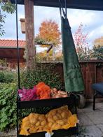 Voorraadkast in keuken, Huis en Inrichting, Ophalen of Verzenden