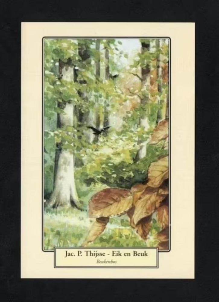 Eik en Beuk Jac. P. Thijsse, H. Rol., Verzamelen, Ansichtkaarten | Themakaarten, Ongelopen, 1980 tot heden, Natuur, Ophalen of Verzenden