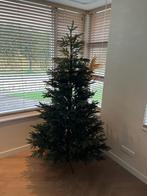 black box trees Frasier 200cm, Diversen, Ophalen, Zo goed als nieuw