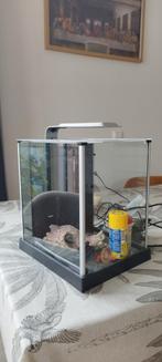 Fluval Spec 3 Nano Aquarium 10L with gadgets, Ophalen, Zo goed als nieuw, Leeg aquarium