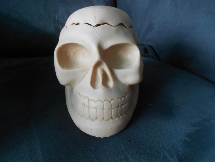 leuke kunststof schedel Halloween, Hobby en Vrije tijd, Feestartikelen, Gebruikt, Versiering, Halloween of Griezel, Ophalen