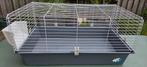 Kooi / hok geschikt voor cavia's / dwergkonijn.  95cm x 56cm, Dieren en Toebehoren, Knaagdieren en Konijnen | Hokken en Kooien